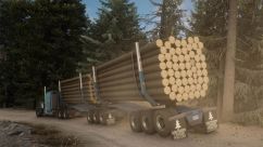 Southern Logging Trailer Reup 3