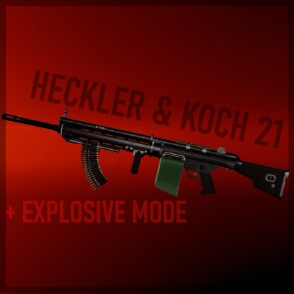 Heckler & Koch 21 (HK21) LMG