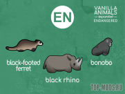 Vanilla Animals Expanded — Endangered 16