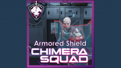 Shield: Bonus Armor