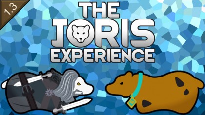 The Joris Experience