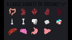 Organs Mod 2