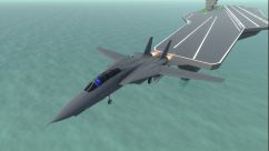 F-14D [BETA!!!] 2