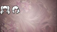 Erin's Hairstyles 2 2