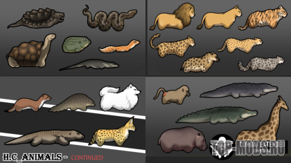 HC_Animal_2