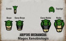 Adeptus Mechanicus: Magos Xenobiologis 1