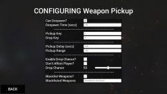 low_quality_soarin's Improved Weapon Pickup 3