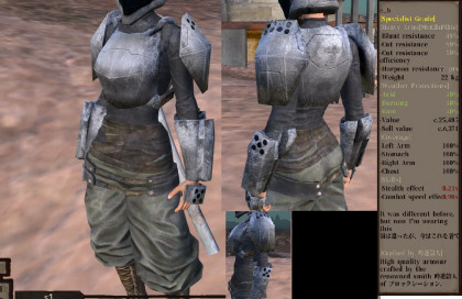 E armor