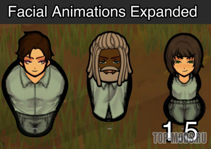 FAE-Facial Animations Expanded