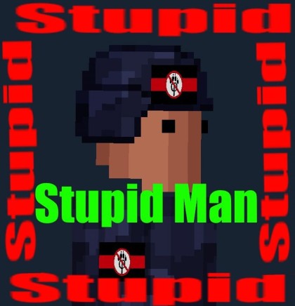 Stupid Man