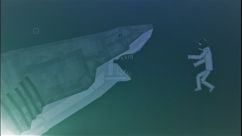 Megalodon Shark 0
