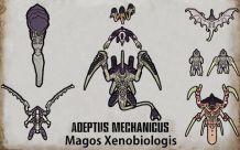 Adeptus Mechanicus: Magos Xenobiologis 2
