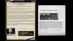 Autumn Begonia: Under the Auspicious Cloud 2