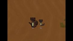 [HB] Corracall Xenotype 4