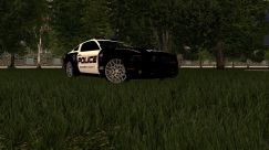 Ford Mustang Shelby GT500 Police 0