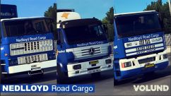Nedlloyd Road Cargo для DAF F241 и собственных прицепов 3