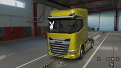 Pack Strickers Glass For DAF XG & XG+ 0