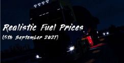 Realistic Fuel Prices 1