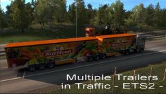 Double Trailers in Traffic 6