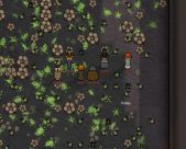 Rim Flood 1 Rim Flood 1