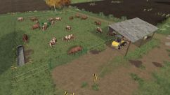 Cow Pasture 0