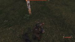 Throwing Axe Changes 0