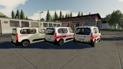 Citroen Berlingo 2019 1