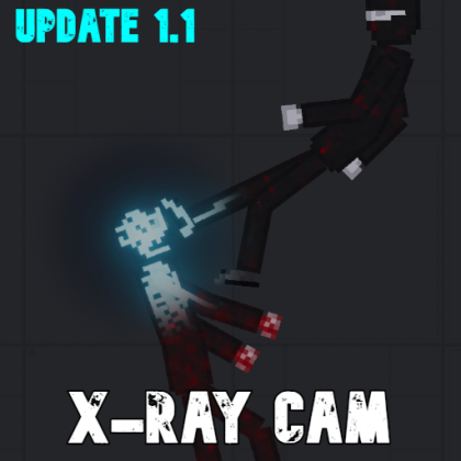 X-Ray Cam