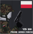 Polish Armed Forces: Polish Guns 0