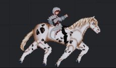 Assasins Creed Playground 2