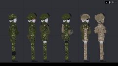 Part of the Nordics - Danish Armed Forces 0