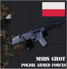 Polish Armed Forces: Polish Guns 1