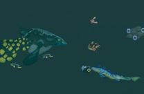 Subnautica PlayGround 2