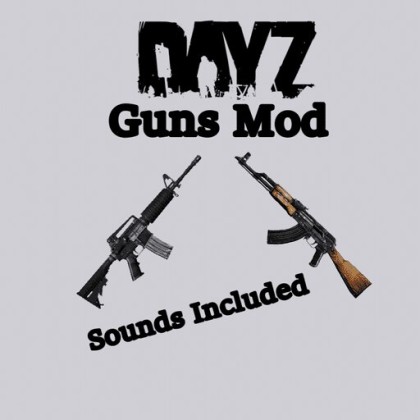 DayZ Guns