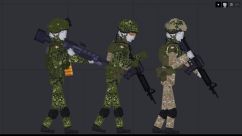 Part of the Nordics - Danish Armed Forces 2