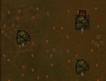 Nutrifungus on Polluted Soil
