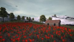 [Frontlines] Regicide 4