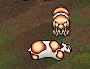 [HB] Multilopes Reskin 1