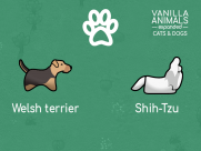 Vanilla Animals Expanded — Cats and Dogs 2