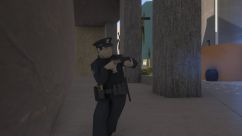 NYPD/New York Police Department 6