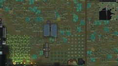 Roidgy's Alt Flora 2