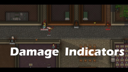 Damage Indicators