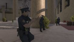 NYPD/New York Police Department 2