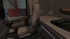 Dark brown interior for DAF XG 4