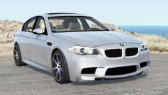 BMW M5 30 Jahre (F10) 2014 1