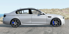 BMW M5 30 Jahre (F10) 2014 0