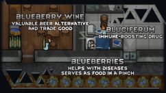 [SYR] Blueberries 0