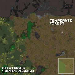 Biome Transitions 6