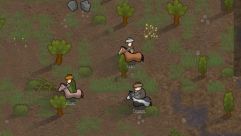 Horse Breeds - Skin Variations 0