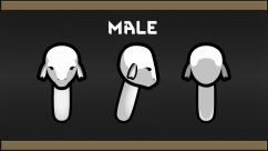 RimRaces - Caerulean Race 0